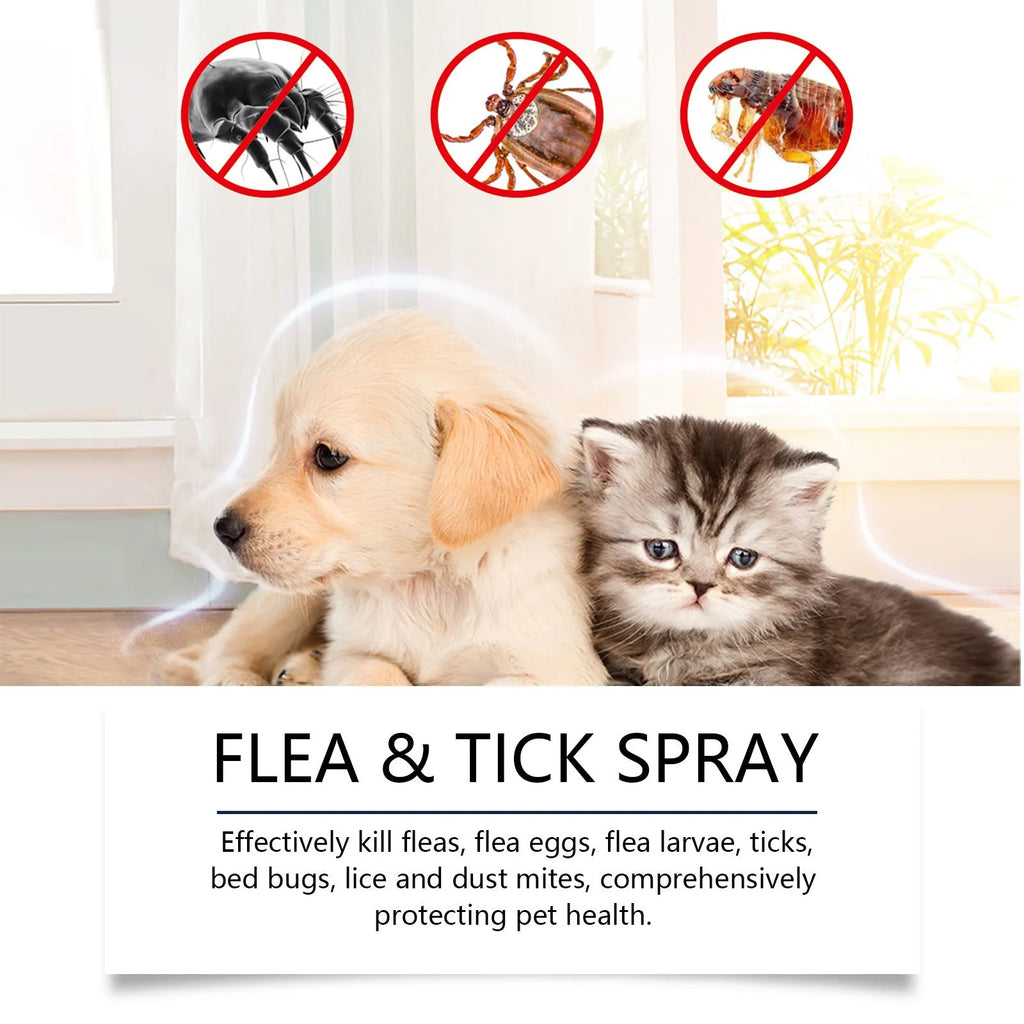 100ml dog insect repellent spray bottle for daily gentle cleaning and coat care