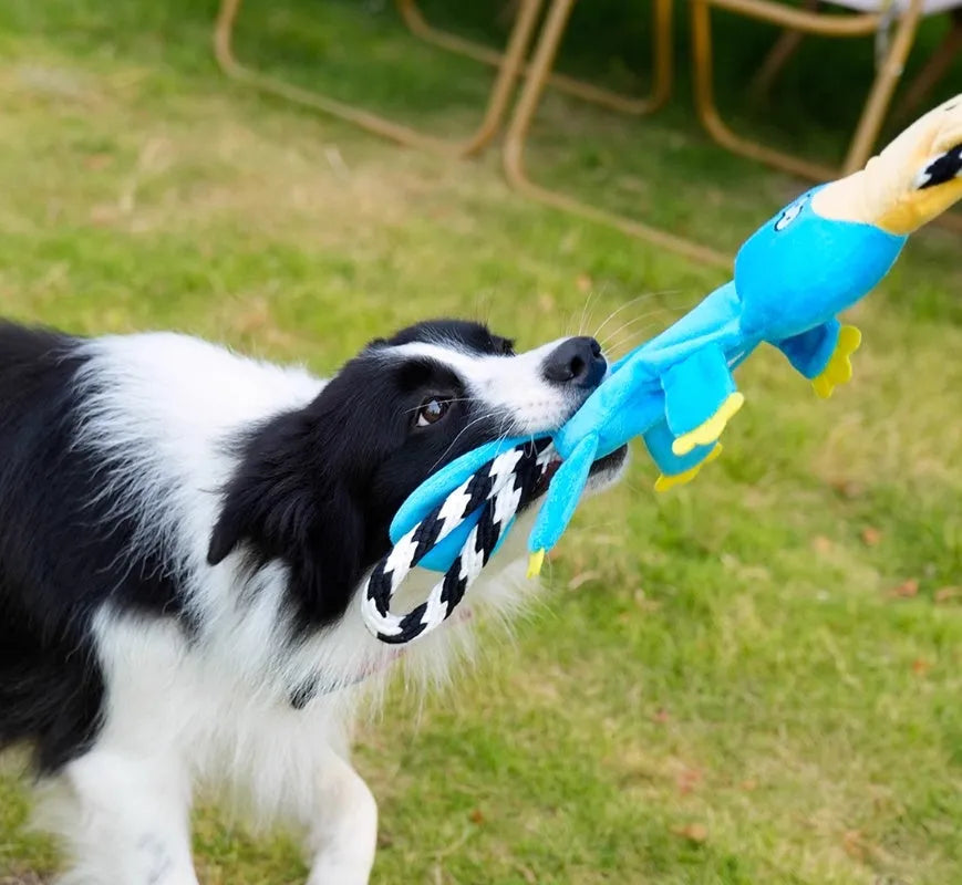 Cotton rope dog chew toy 22.5x8cm for medium and large dogs, two-piece pet bite toy set