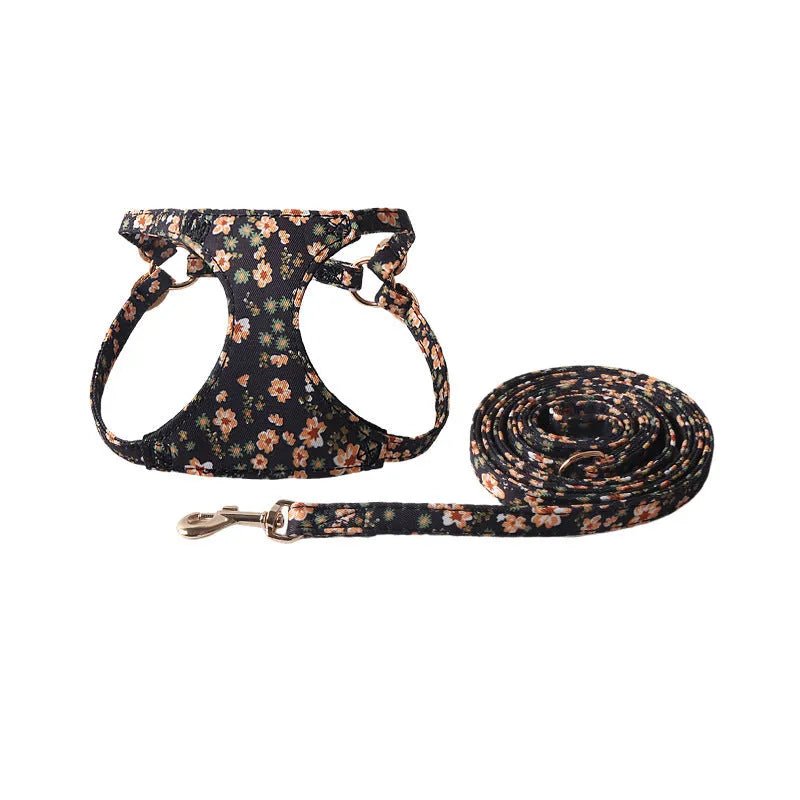 Cloth dog harness and leash set in orange colour on a dog