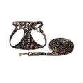 Cloth dog harness and leash set in orange colour on a dog