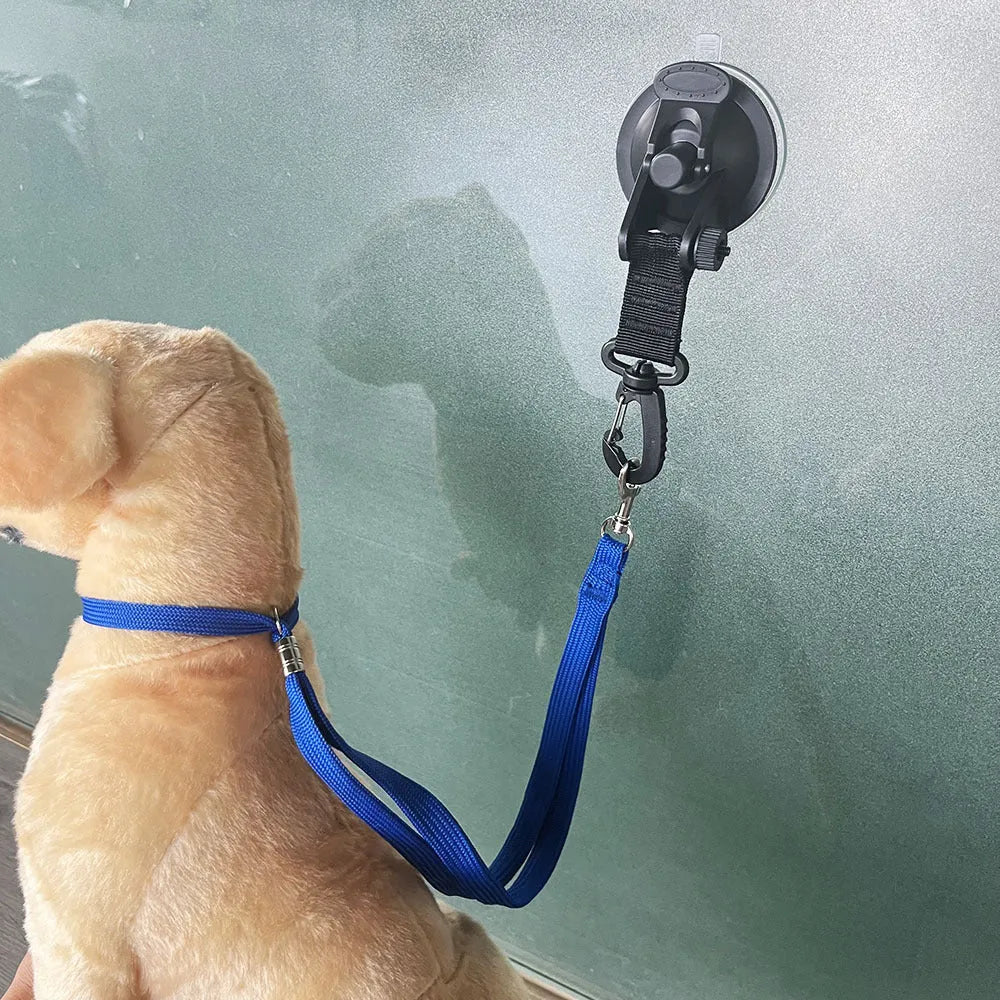 Pet bathing restraint with blue suction cups and adjustable rope securing a dog during washing