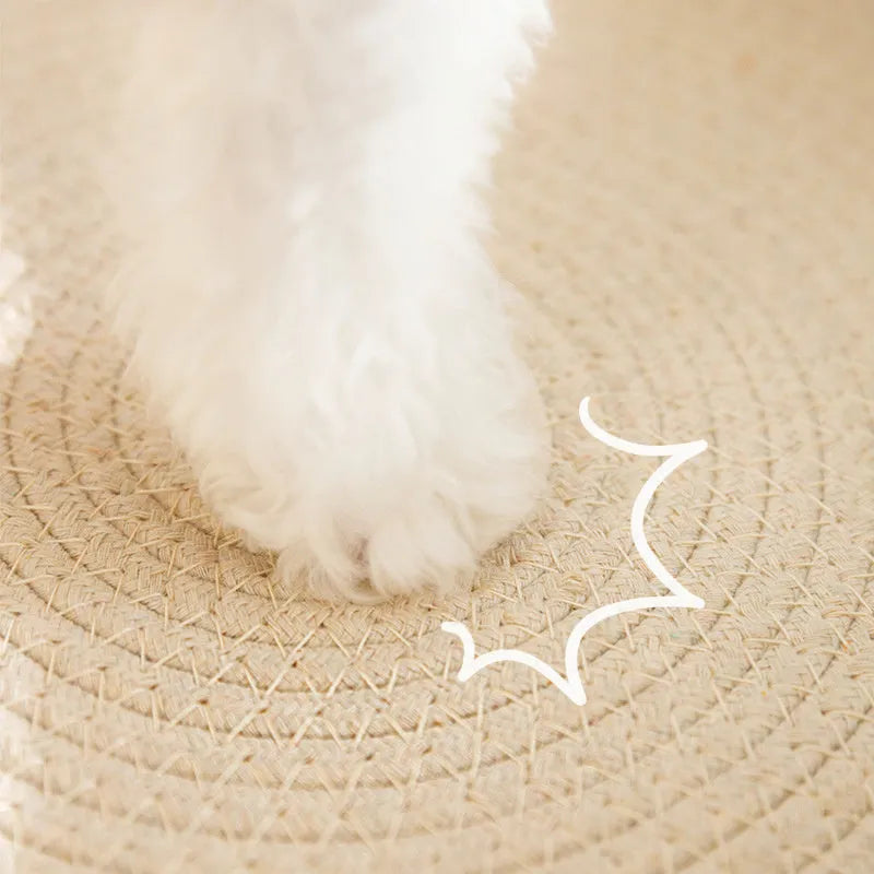 Green oval-shaped sisal cat scratching pad lounge bed on a floor.