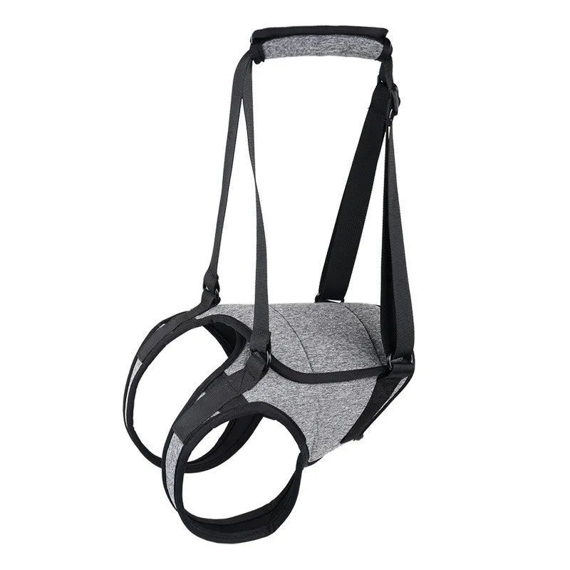 Grey neoprene recovery support belt for a dog's injured rear leg on a size chart.