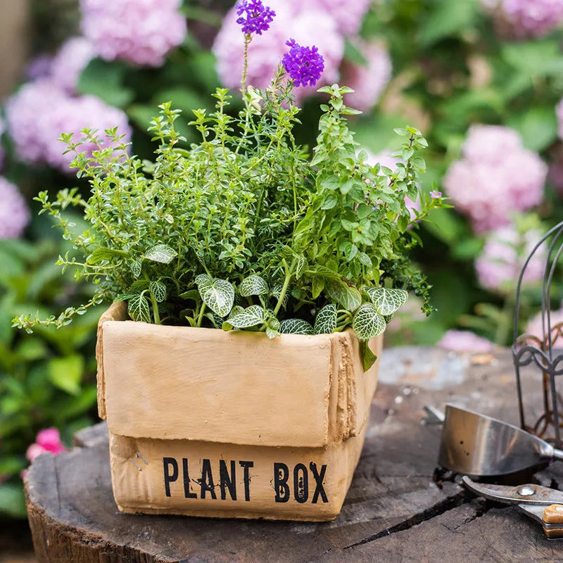 Nordic-style cement brown paper box flowerpot for indoor planting on a floor.