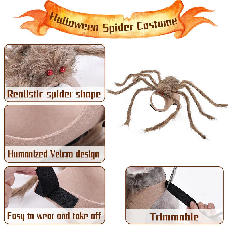 Halloween spider costume for pets in four colour variations with three size options