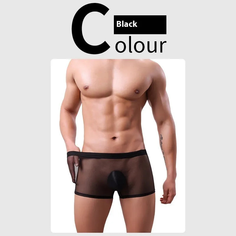 Men's mesh boxer briefs in black, white, green, blue, skin colour, or pink with low waist design