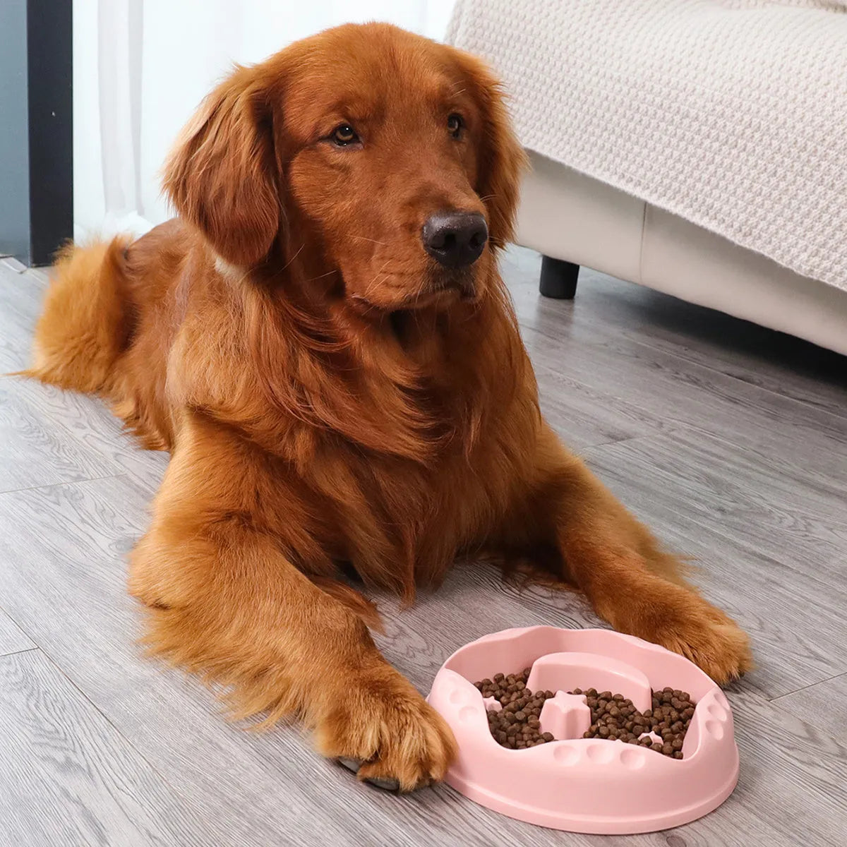 Blue Moon Star Wings slow feeder dog bowl showing raised centre with cut-outs and wide outer food channel.