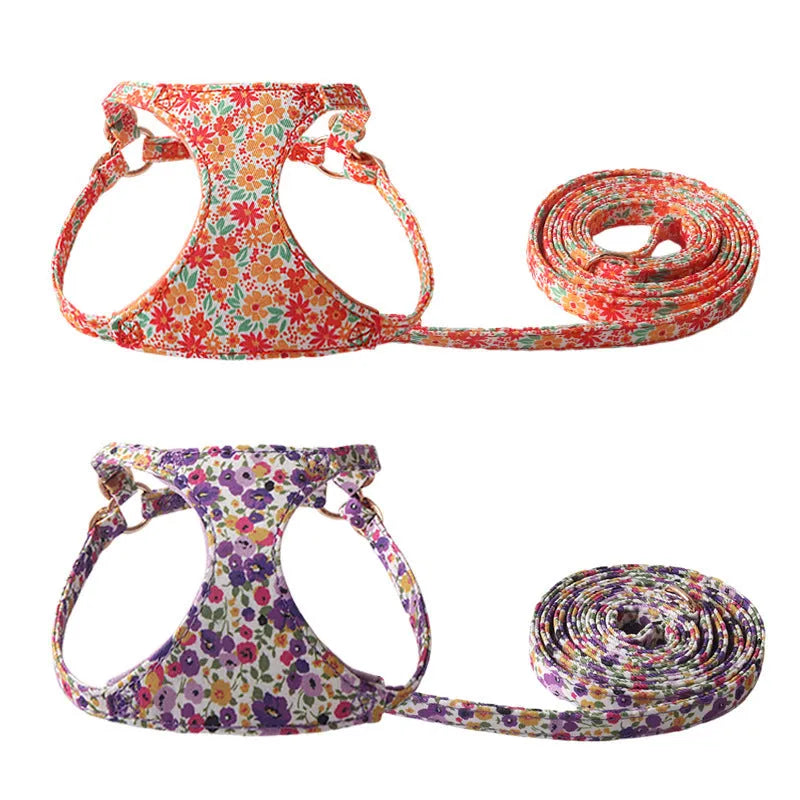 Cloth dog harness and leash set in orange colour on a dog