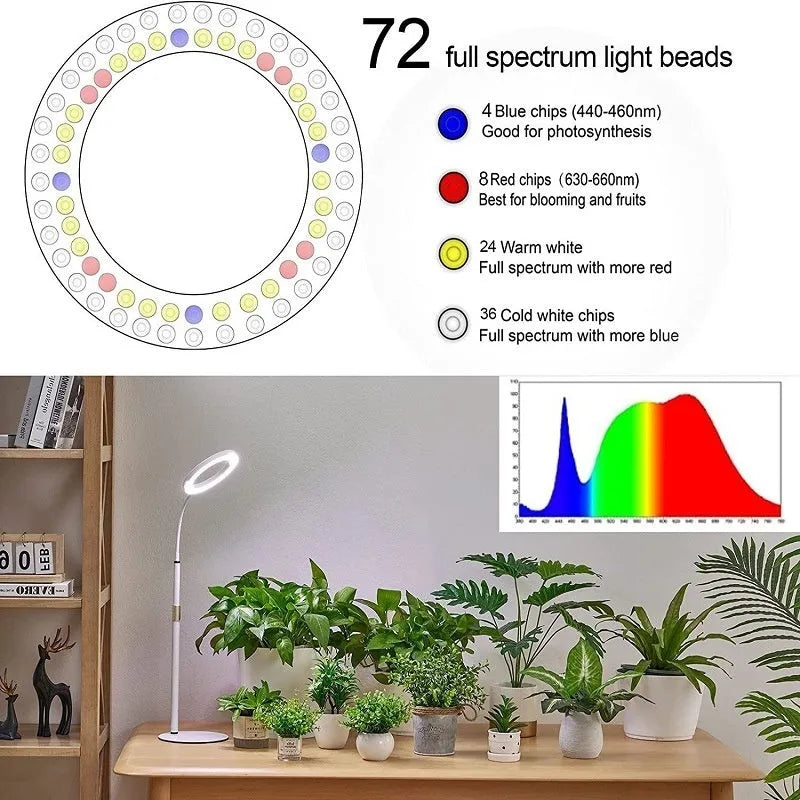 A white 6-inch angel ring floor plant grow light with a retractable stand extended, showing its circular LED array for indoor use.