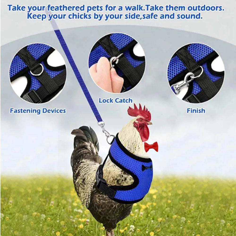 Chicken harness vest with matching collar and bow for poultry, includes 110cm traction rope
