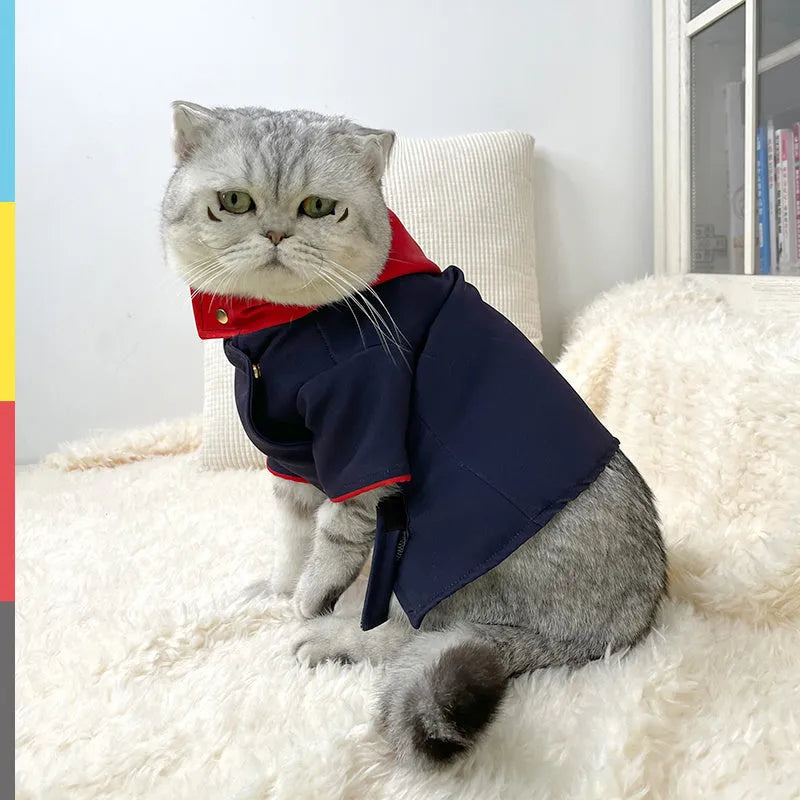 Tiger stripe pet hoodie for dogs and cats in small and medium sizes for photo props