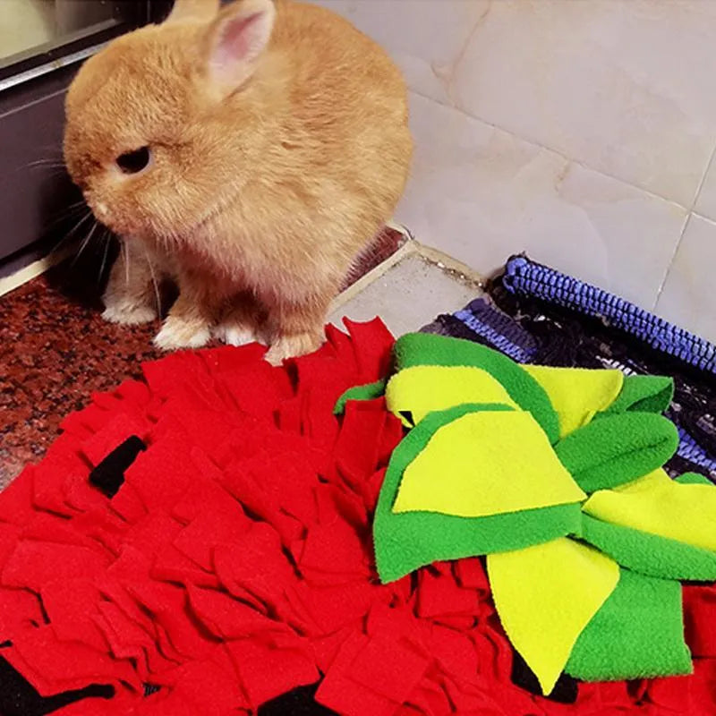 Red and green strawberry-shaped pet sniffing mat for dogs cats slow feeding forage activity
