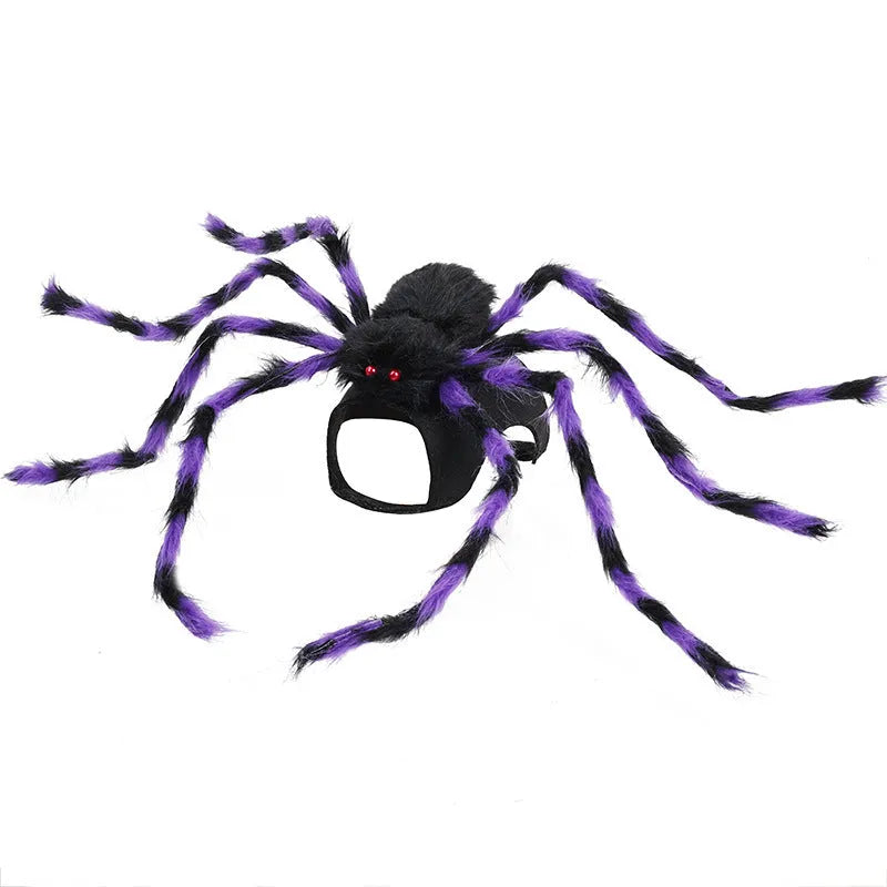 Halloween spider costume for pets in four colour variations with three size options