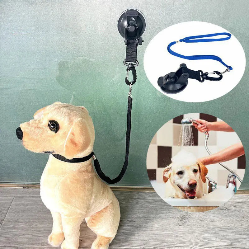 Pet bathing restraint with blue suction cups and adjustable rope securing a dog during washing