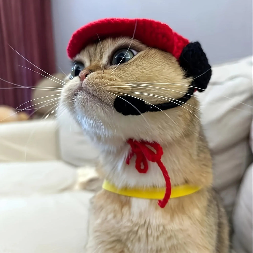 Handmade chef hat and cotton knitted sweater set for small to medium cats and dogs