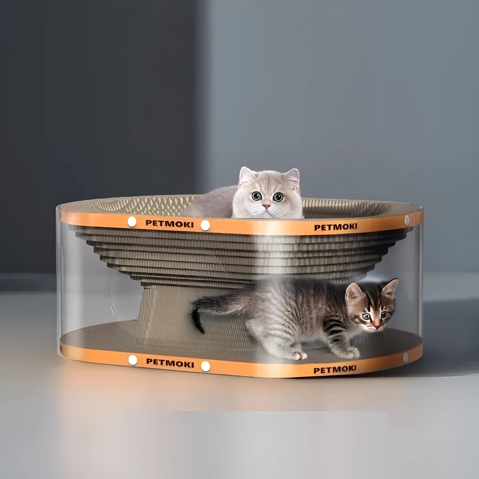 White transparent diamond pattern PVC cat tunnel attached to a corrugated cardboard scratch board, 58cm long.