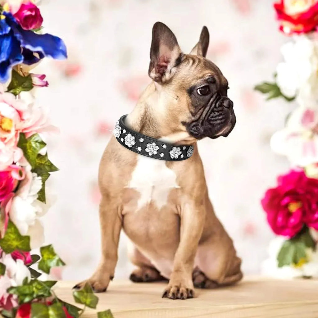 Close-up of a black PU leather dog collar with silver rhinestone flowers and studs, showing the metal D-ring.