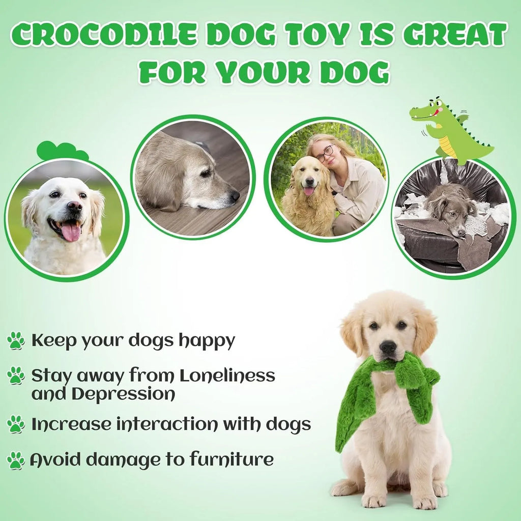 Green crocodile-shaped plush dog chew toy with no stuffing for aggressive chewers