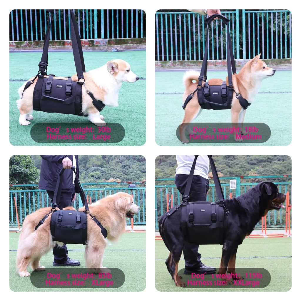 Black Oxford cloth dog harness with breast strap and leg support features