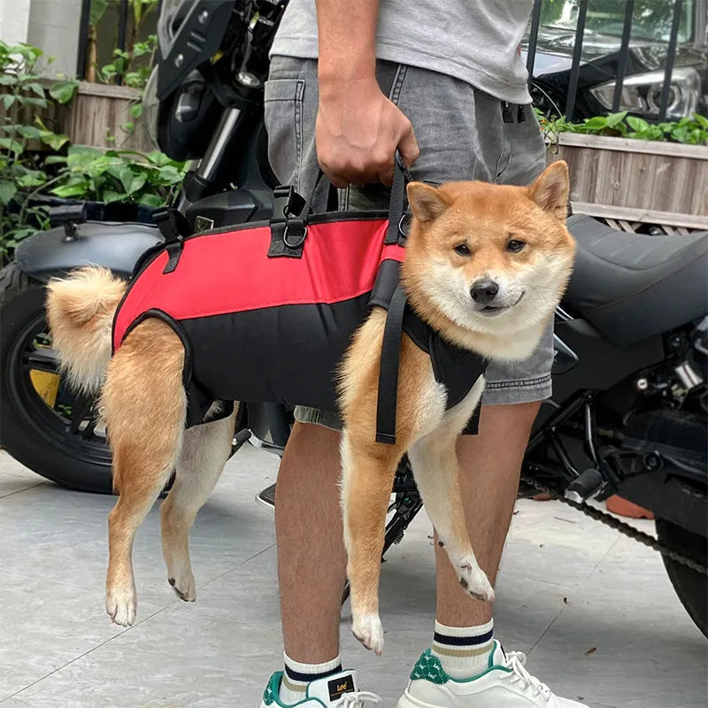 Soft Oxford cloth pet backpack shown in black, functioning as both a carrier and an emergency walking stretcher for dogs.
