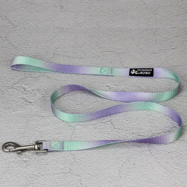 Gradient colour nylon dog lead and adjustable chest harness set for small or medium dogs.